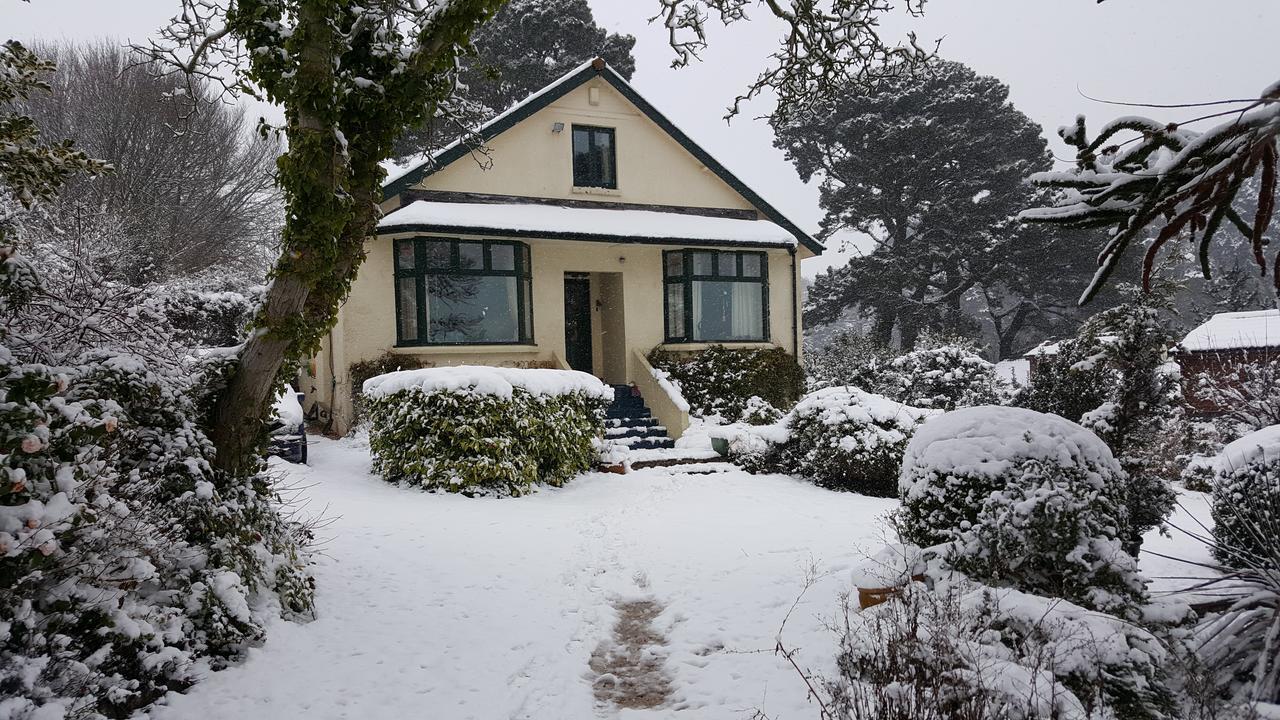 Norwegian Wood Hotel Paignton Exterior foto